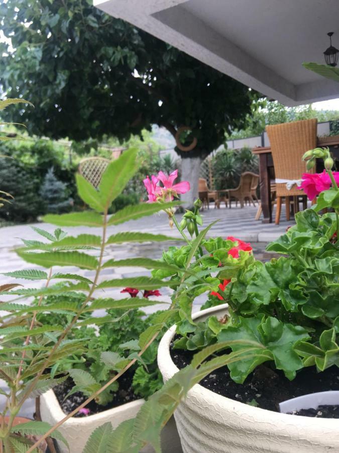 My Garden Hotel Tbilisi Exterior photo